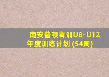 南安普顿青训U8-U12年度训练计划 (54周)